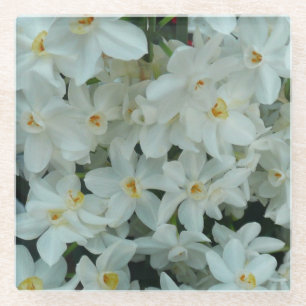 Paperwhite Narcissus Delikate Weiße Blume Glasuntersetzer