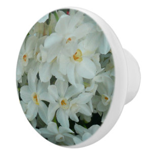 Paperwhite Narcissus Delikate Weiße Blume Keramikknauf