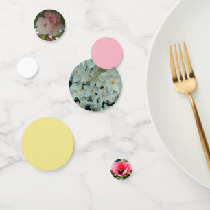 Paperwhite Narcissus Delikate Weiße Blume Konfetti