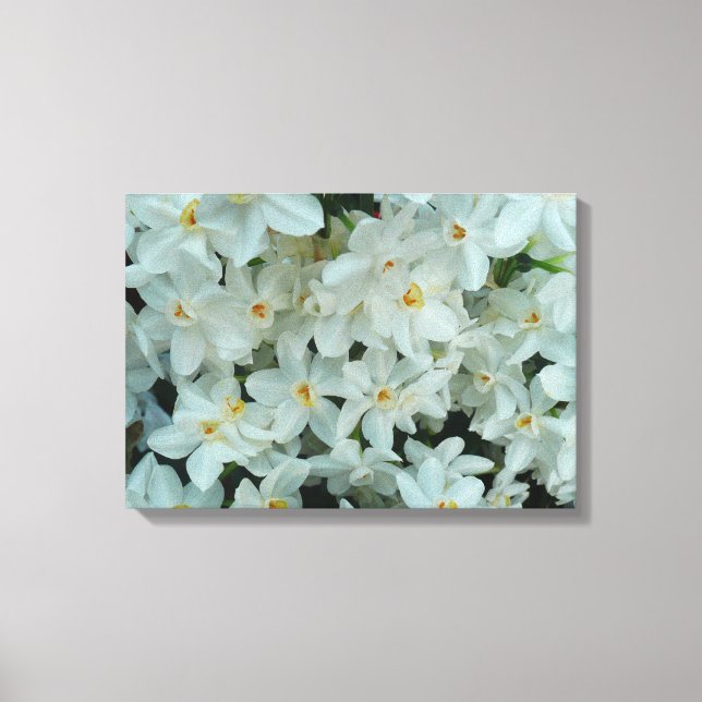 Paperwhite Narcissus Delikate Weiße Blume Leinwanddruck (Vorderseite)