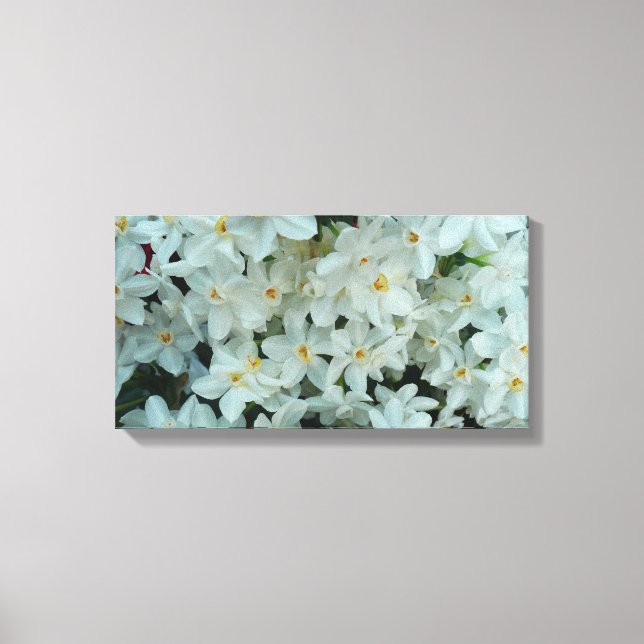 Paperwhite Narcissus Delikate Weiße Blume Leinwanddruck (Vorderseite)