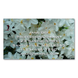Paperwhite Narcissus Delikate Weiße Blume Magnetische Visitenkarte