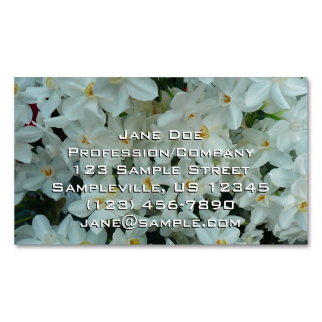 Paperwhite Narcissus Delikate Weiße Blume Magnetische Visitenkarte (Vorderseite)