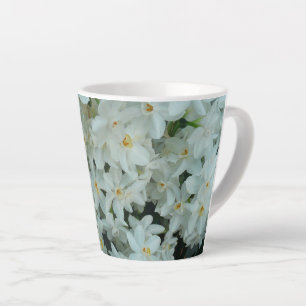 Paperwhite Narcissus Delikate Weiße Blume Milchtasse