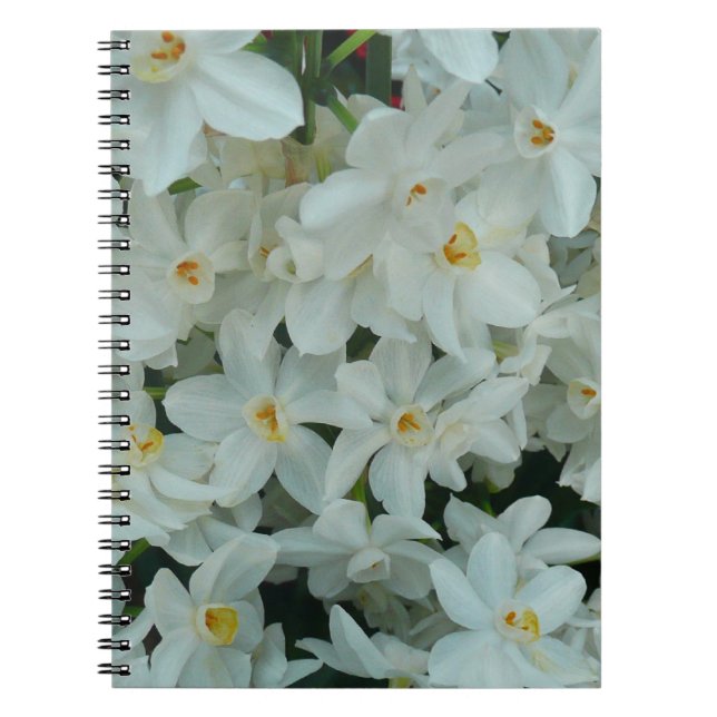 Paperwhite Narcissus Delikate Weiße Blume Notizblock (Vorderseite)