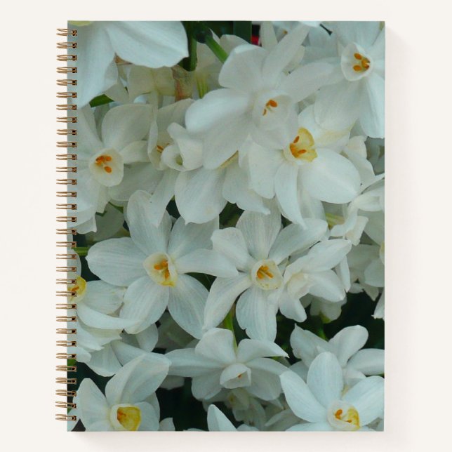 Paperwhite Narcissus Delikate Weiße Blume Notizbuch (Vorderseite)