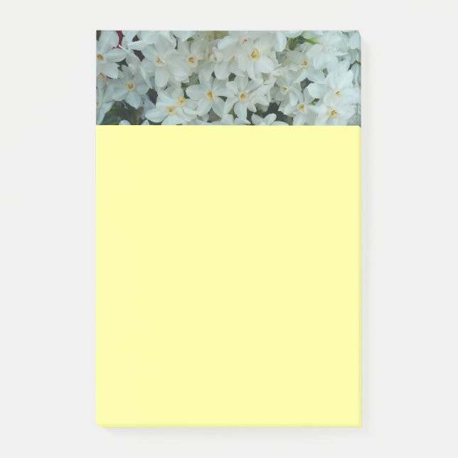 Paperwhite Narcissus Delikate Weiße Blume Post-it Klebezettel (Vorderseite)