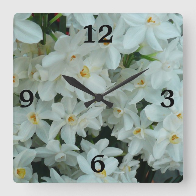 Paperwhite Narcissus Delikate Weiße Blume Quadratische Wanduhr (Vorderseite)