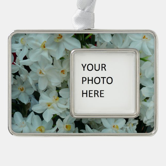 Paperwhite Narcissus Delikate Weiße Blume Rahmen-Ornament Silber (Vorderseite)