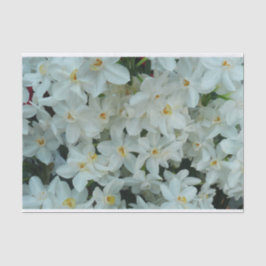 Paperwhite Narcissus Delikate Weiße Blume Seidenpapier