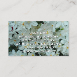 Paperwhite Narcissus Delikate Weiße Blume Visitenkarte