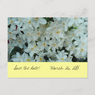 Paperwhite Narcissus "Save the Date" Postkarte