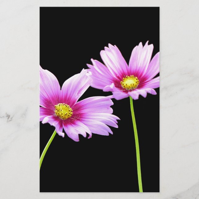 Papeterie 2 Cosmos (Devant)