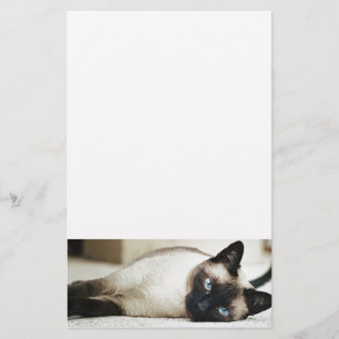 Papeterie Animal de chat siamois