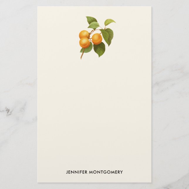 Papeterie Apricots orange vintage (Devant)