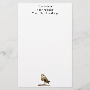 Papeterie Barn Owl