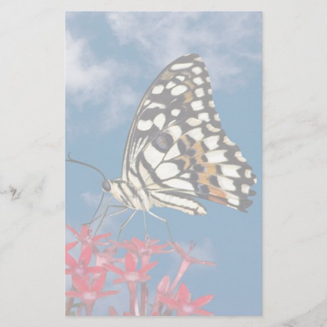 Papeterie Beau Papillon (Devant)