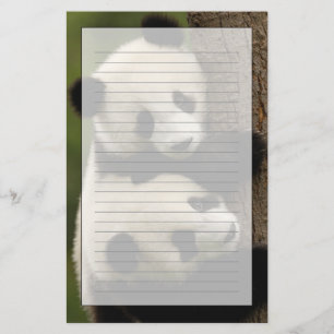 Papeterie Bébés pandas géants (Ailuropoda melanoleuca) 2
