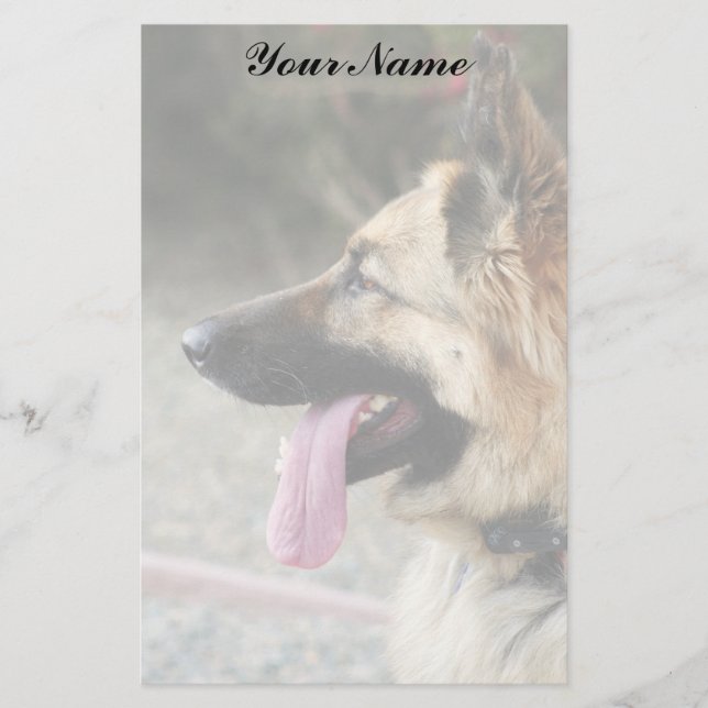 Papeterie Berger allemand stationnaire (Devant)