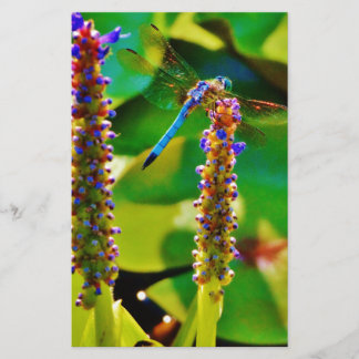 Papeterie Bleu libellule et fleurs