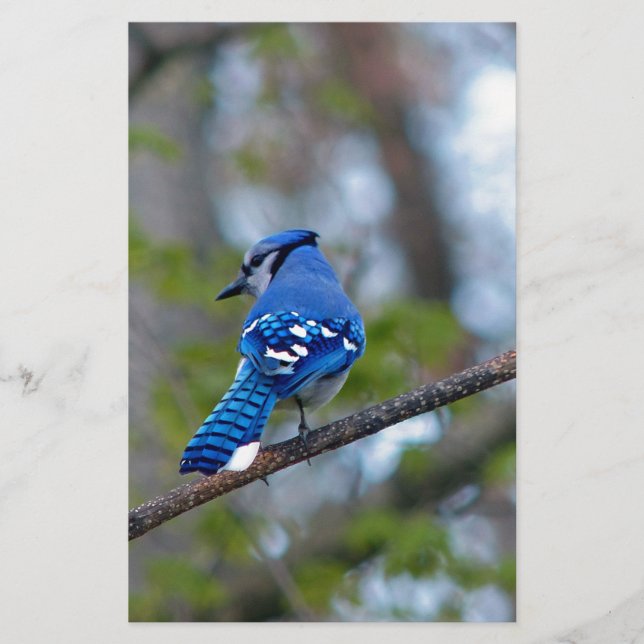 Papeterie Blue Jay (Devant)