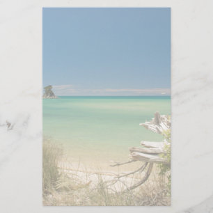 Papeterie Bois de flottage