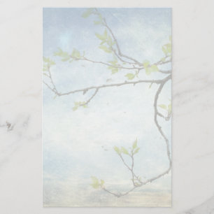 Papeterie Branche d'arbre au-dessus de ciel texturisé