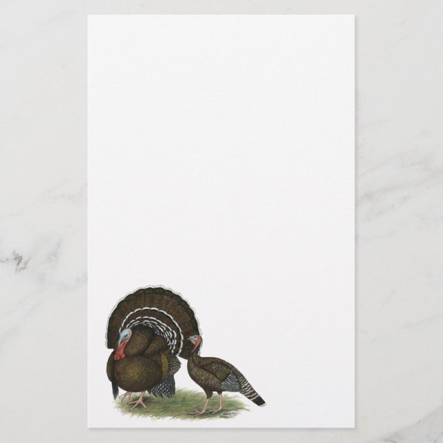 Papeterie Bronze standard de Turkey (Devant)