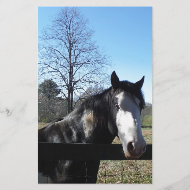 Papeterie Brown &blanc, Cheval Peint, ciel bleu vif (Devant)