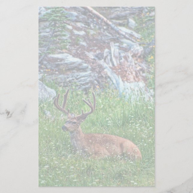 Papeterie Buck de lit (Devant)