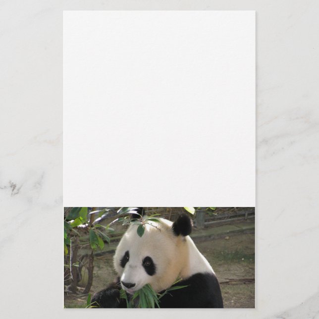 Papeterie Câlins de Panda (Devant)