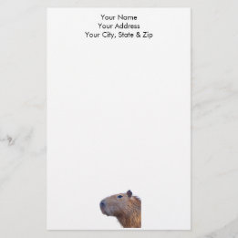 Papeterie Capybara