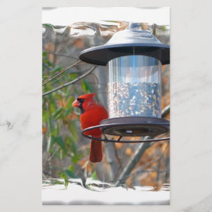 Papeterie Cardinal masculin