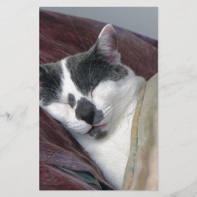 Papeterie Cat Napping (Devant)