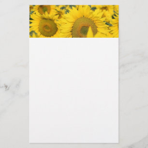 Papeterie Champ jaune de tournesols photo