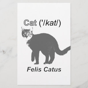 Papeterie Chat Felis Catus