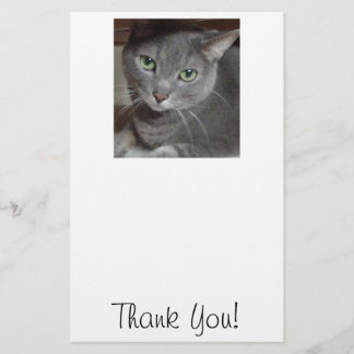 Papeterie Chat Merci/Gris