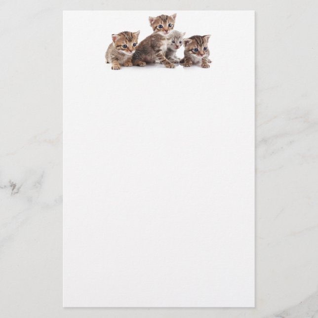 Papeterie Chatons et plus de chatons (Devant)