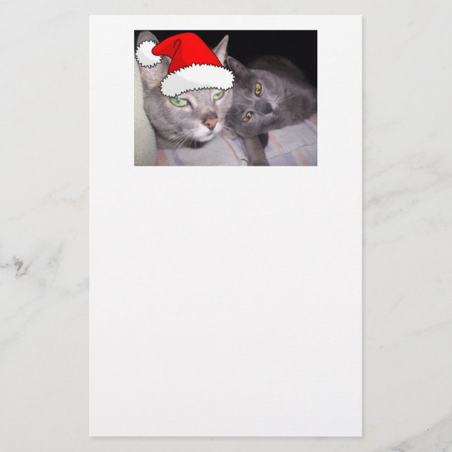 Papeterie Chats de Noël (Devant)