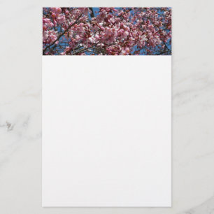 Papeterie Cherry Blossoms et Blue Sky Spring Floral