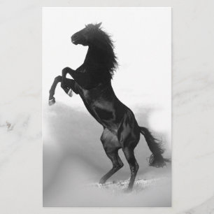 Papeterie Cheval blanc noir