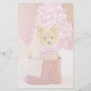 Papeterie Chien mignon avec cou rose Photographie de Noël