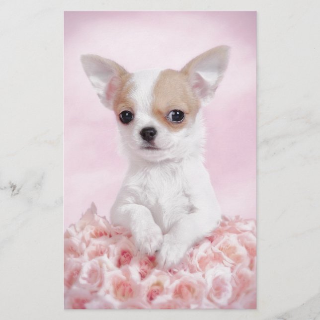 Papeterie Chihuahua en rose avec des roses (Devant)