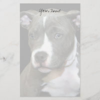 Chiot de Pitbull stationnaire