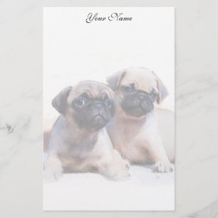 Papeterie Chiots de carlin stationnaires