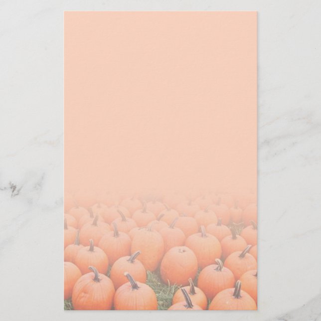 Papeterie Citrouilles (Devant)