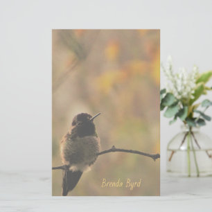 Papeterie Colibri Sur Branche Couleurs Chaudes Jaunes Vert
