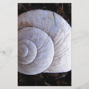 Papeterie Coquille d'escargot cool