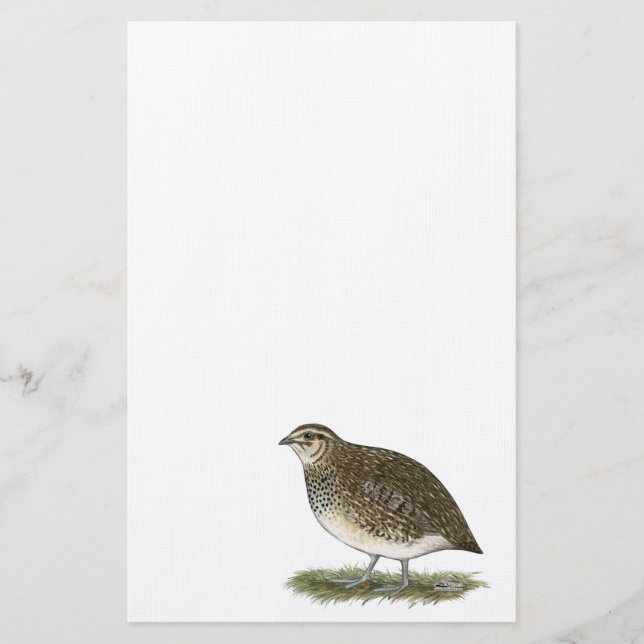 Papeterie Coturnix Quail (Devant)