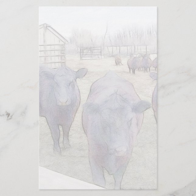 Papeterie Curieux Jeune Angus Noir (Devant)